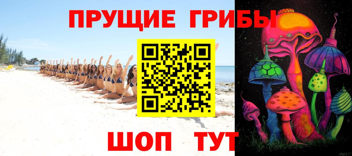 Псилоцибиновые грибы Psilocybine cubensis Горячий Ключ